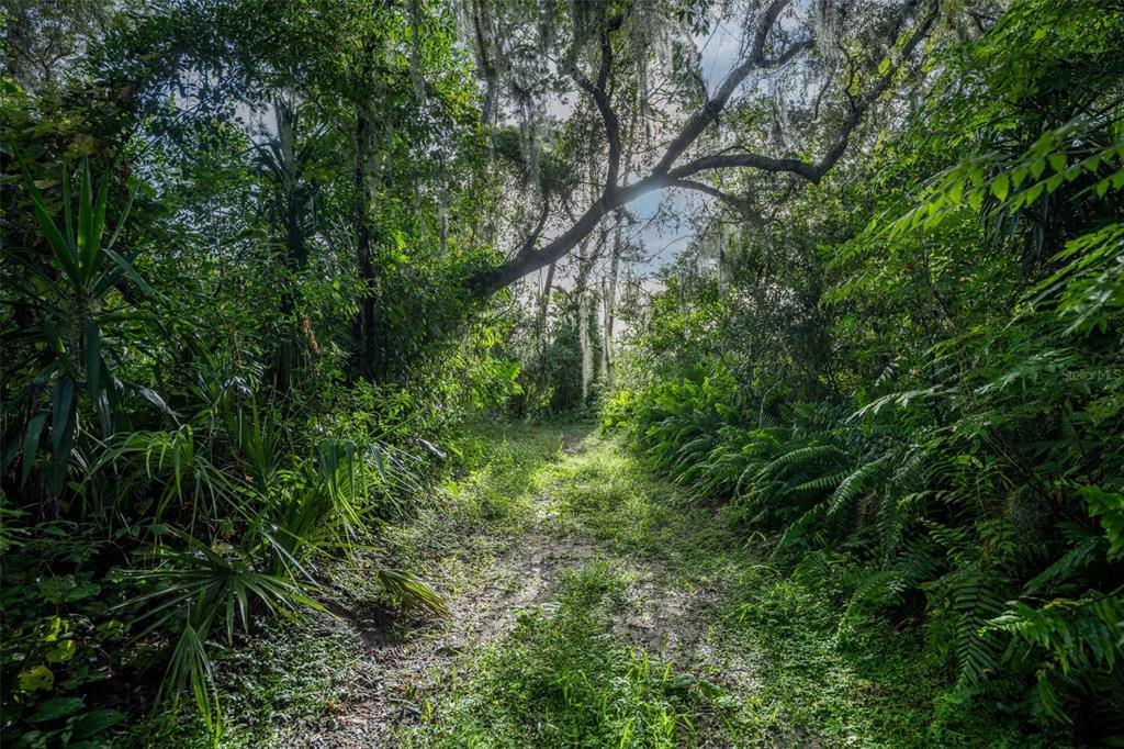 Property for sale at 2163 VAN ORMAN DRIVE, DELTONA, FL, 32725