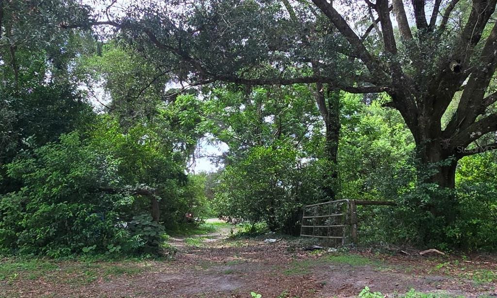 Property for sale at 21320 SENECA HILLS ROAD, EUSTIS, FL, 32736