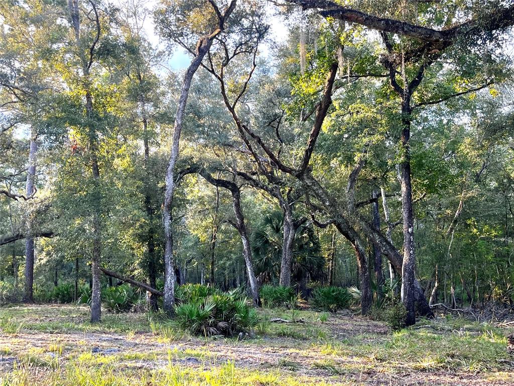 Property for sale at CANAL STREET, FANNING SPRINGS, FL, 32693