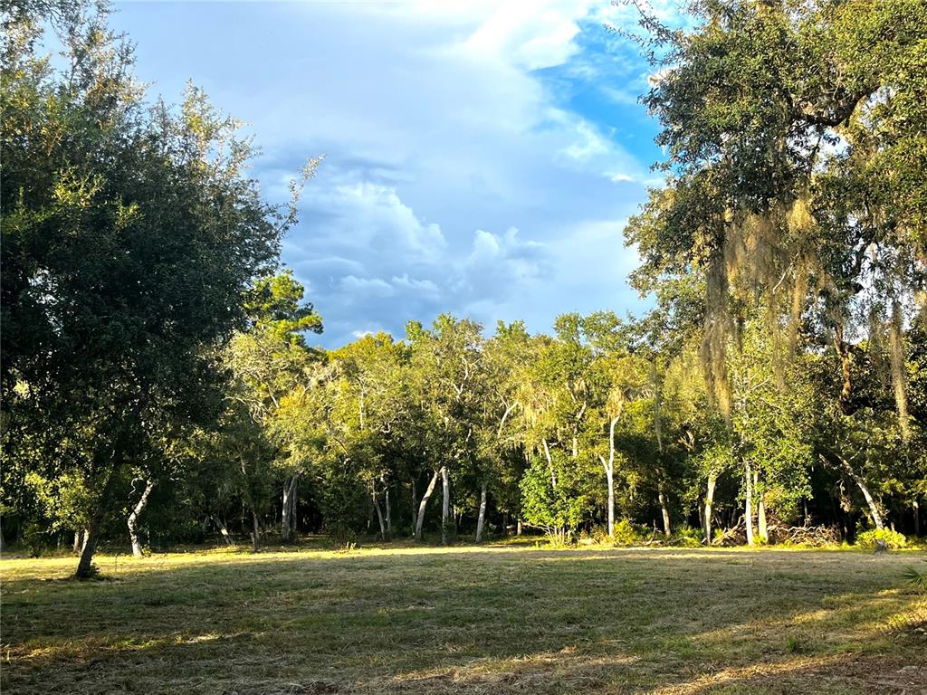 Property for sale at CANAL STREET, FANNING SPRINGS, FL, 32693