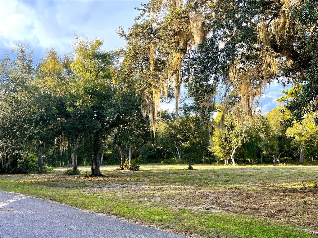 Property for sale at CANAL STREET, FANNING SPRINGS, FL, 32693