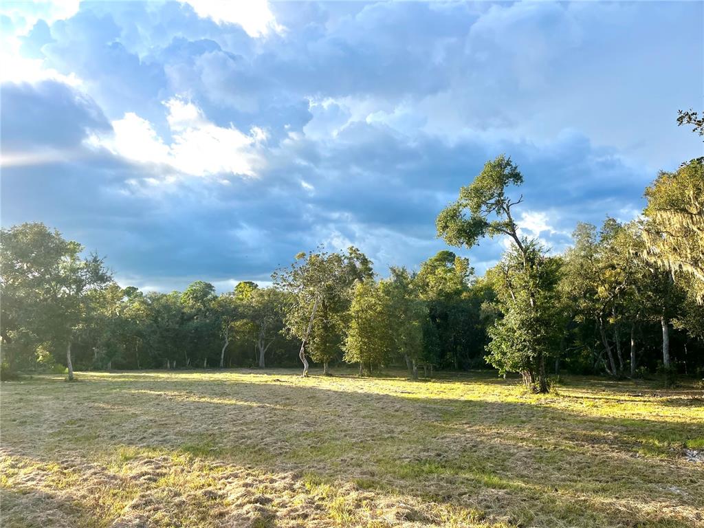 Property for sale at CANAL STREET, FANNING SPRINGS, FL, 32693