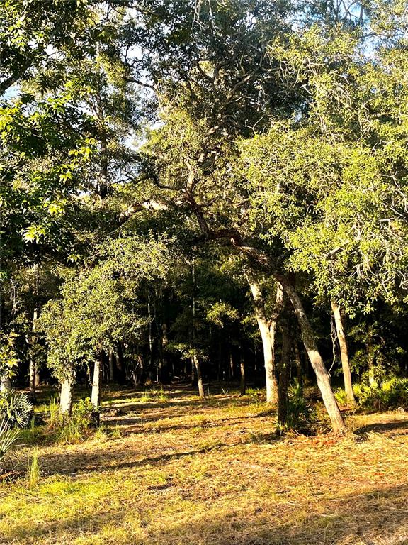 Property for sale at CANAL STREET, FANNING SPRINGS, FL, 32693