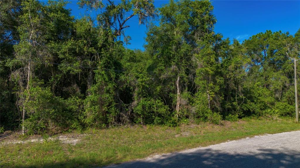 Property for sale at 4374 E MATE LANE, HERNANDO, FL, 34442
