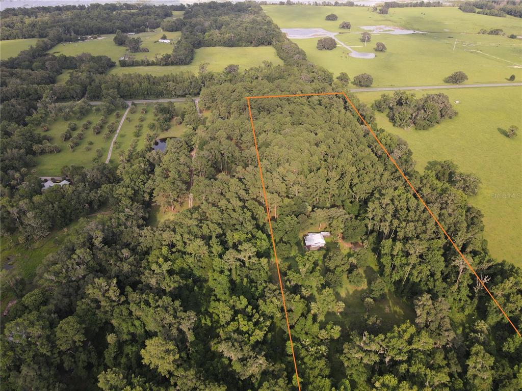 Property for sale at 15208 SW WILLISTON RD, MICANOPY, FL, 32667