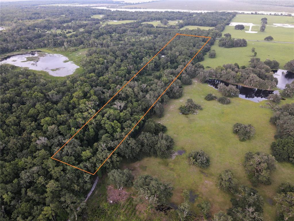 Property for sale at 15208 SW WILLISTON RD, MICANOPY, FL, 32667