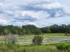 Property for sale at ORANGE RD, OCKLAWAHA, FL, 32179
