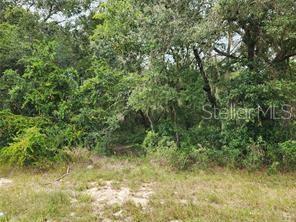Property for sale at ORANGE RD, OCKLAWAHA, FL, 32179
