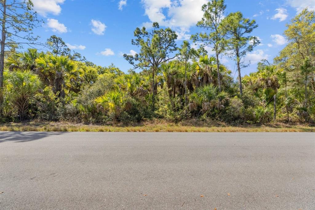 Property for sale at 18047 SAVAGE AVENUE, PORT CHARLOTTE, FL, 33948