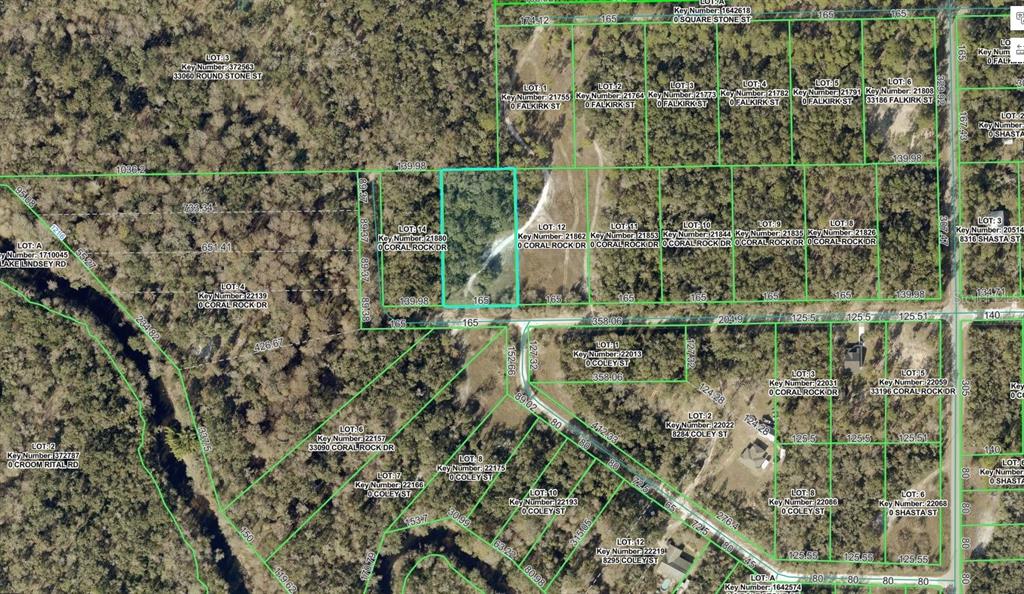 Property for sale at 33099 CORAL ROCK DRIVE, WEBSTER, FL, 33597
