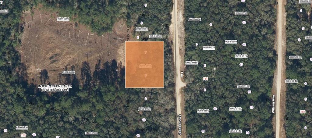 Property for sale at XX JACKSON AVE INTERLACHEN FL, INTERLACHEN, FL, 32148