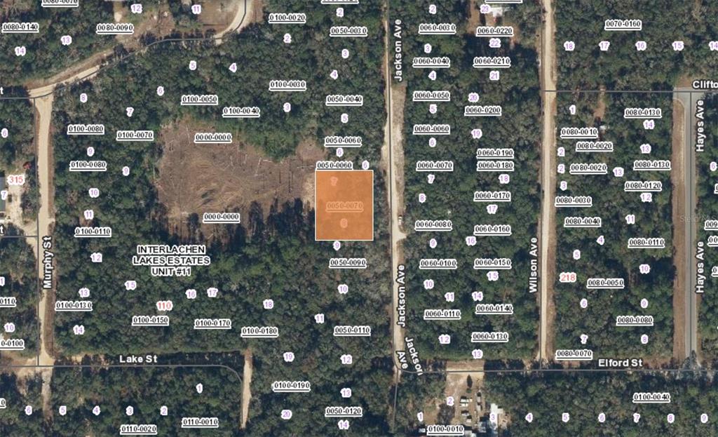 Property for sale at XX JACKSON AVE INTERLACHEN FL, INTERLACHEN, FL, 32148