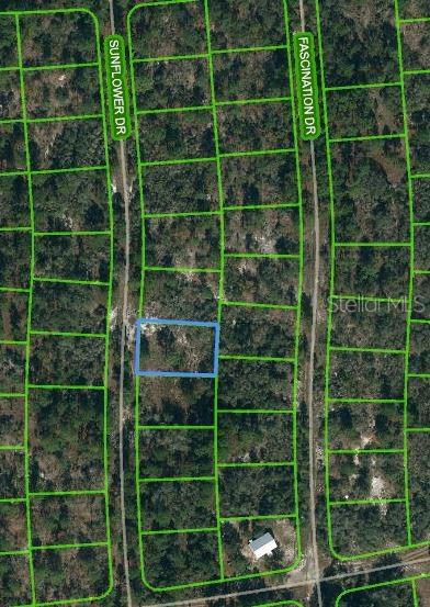 Property for sale at 253 SUNFLOWER AVENUE, LAKE PLACID, FL, 33852