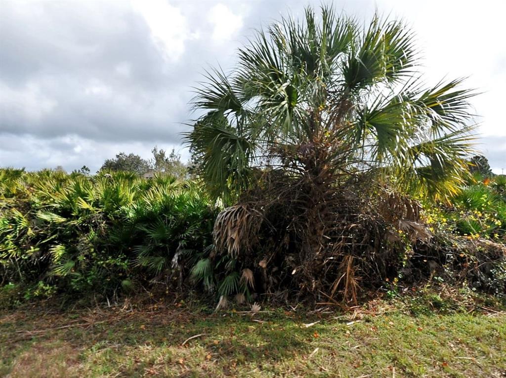 Property for sale at CALLAGHAN LANE, NORTH PORT, FL, 34291