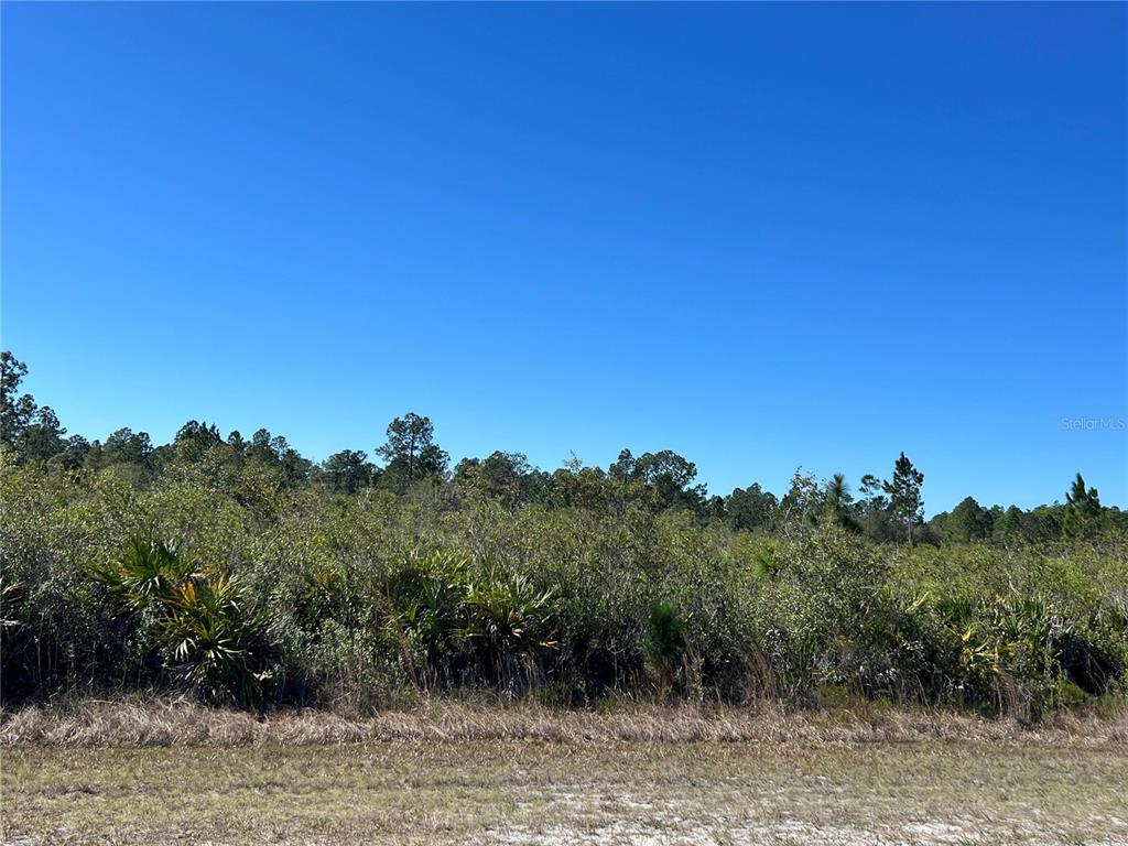 Property for sale at ORLANDO DRIVE, INDIAN LAKE ESTATES, FL, 33855