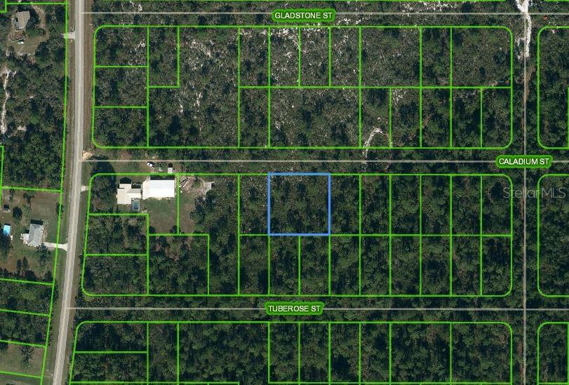 Property for sale at 1411 CALADIUM STREET, LAKE PLACID, FL, 33852