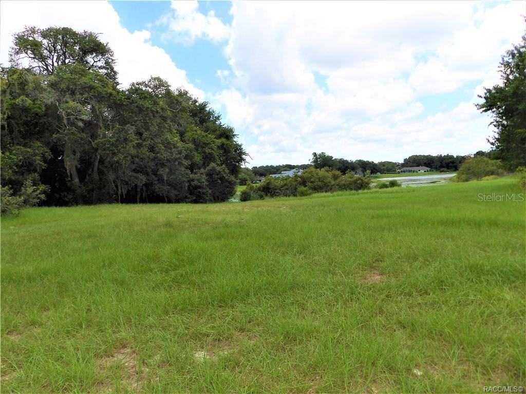Property for sale at 9546 E BAYMEADOWS DRIVE, INVERNESS, FL, 34450
