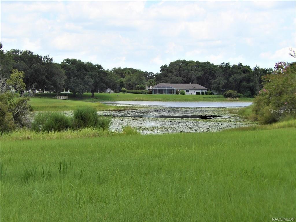 Property for sale at 9546 E BAYMEADOWS DRIVE, INVERNESS, FL, 34450