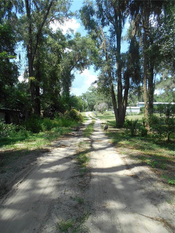Property for sale at 18800 NE 248TH TERRACE, FORT MC COY, FL, 32134