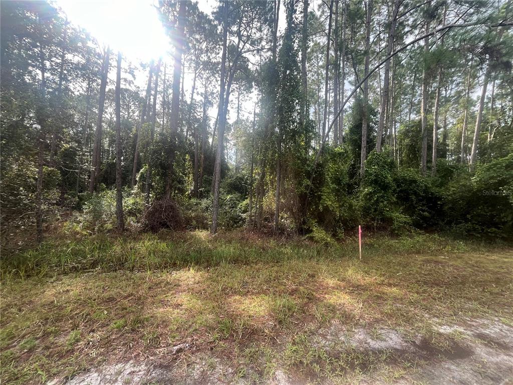 Property for sale at 223 SE 2ND STREET, GEORGETOWN, FL, 32139