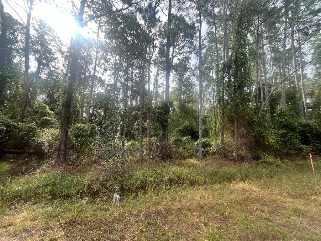 Property for sale at 223 SE 2ND STREET, GEORGETOWN, FL, 32139