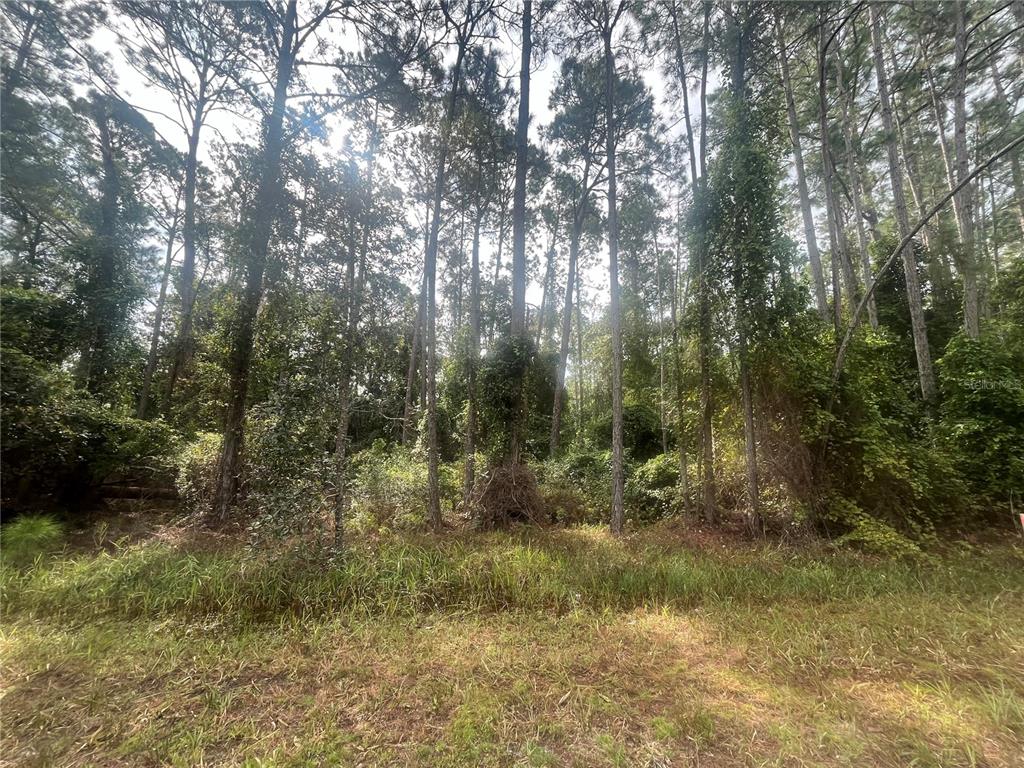 Property for sale at 223 SE 2ND STREET, GEORGETOWN, FL, 32139