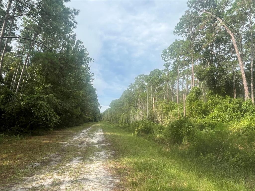 Property for sale at 223 SE 2ND STREET, GEORGETOWN, FL, 32139