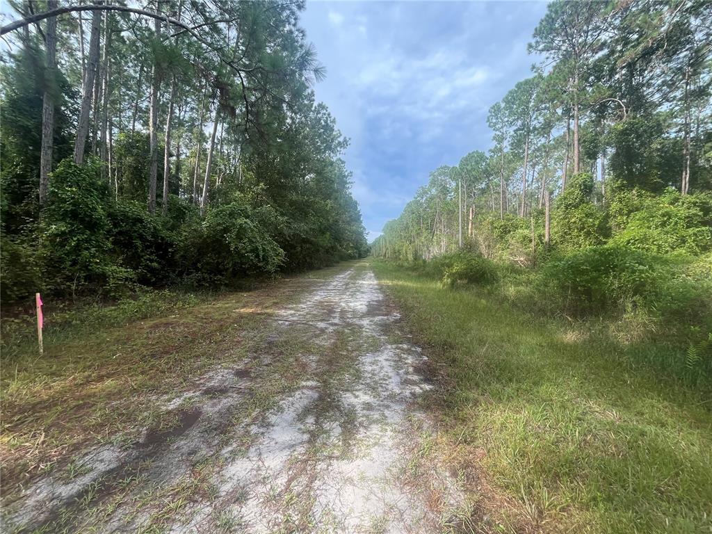 Property for sale at 223 SE 2ND STREET, GEORGETOWN, FL, 32139