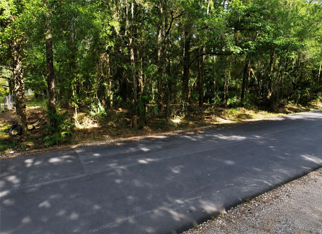 Property for sale at 119 SANDI STREET, INGLIS, FL, 34449