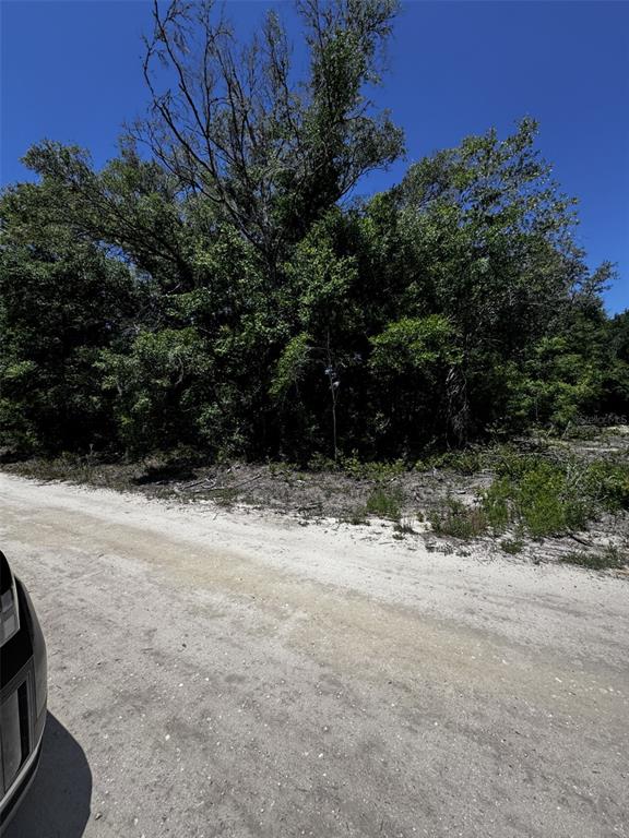 Property for sale at 0 SW 104TH LANE, DUNNELLON, FL, 34432