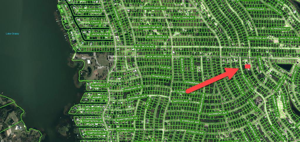 Property for sale at 364 SUMMER HILL DRIVE, LAKE PLACID, FL, 33852