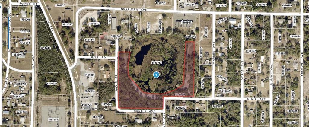 Property for sale at WESTERN AVENUE, LEESBURG, FL, 34788