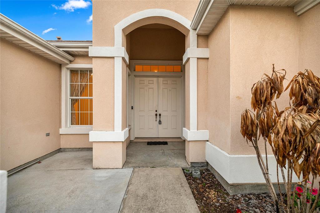 Tall double entry doors