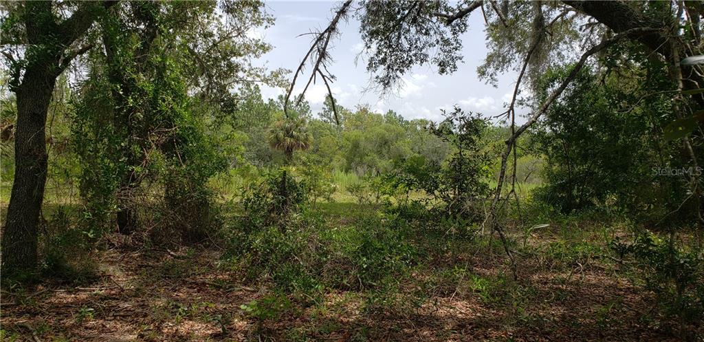 Property for sale at Lot 11 NE ALT HWY 27, WILLISTON, FL, 32696