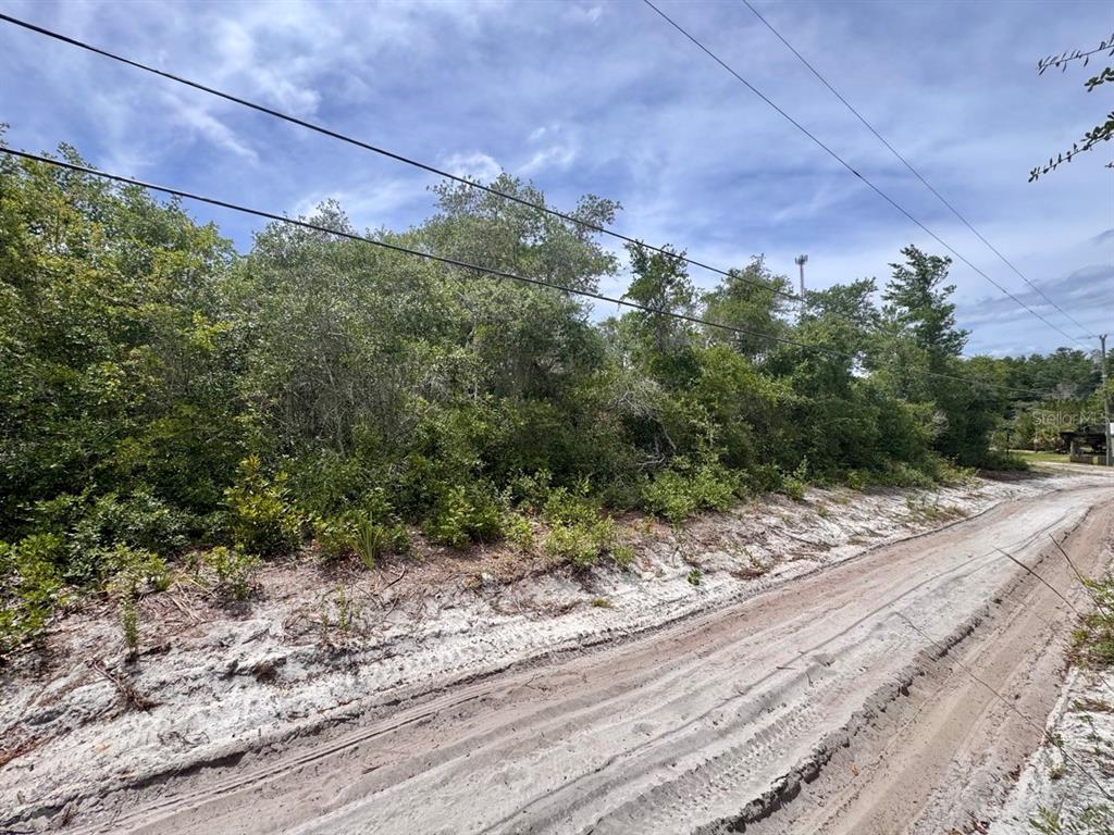Property for sale at NE 306TH TERRACE, SALT SPRINGS, FL, 32134