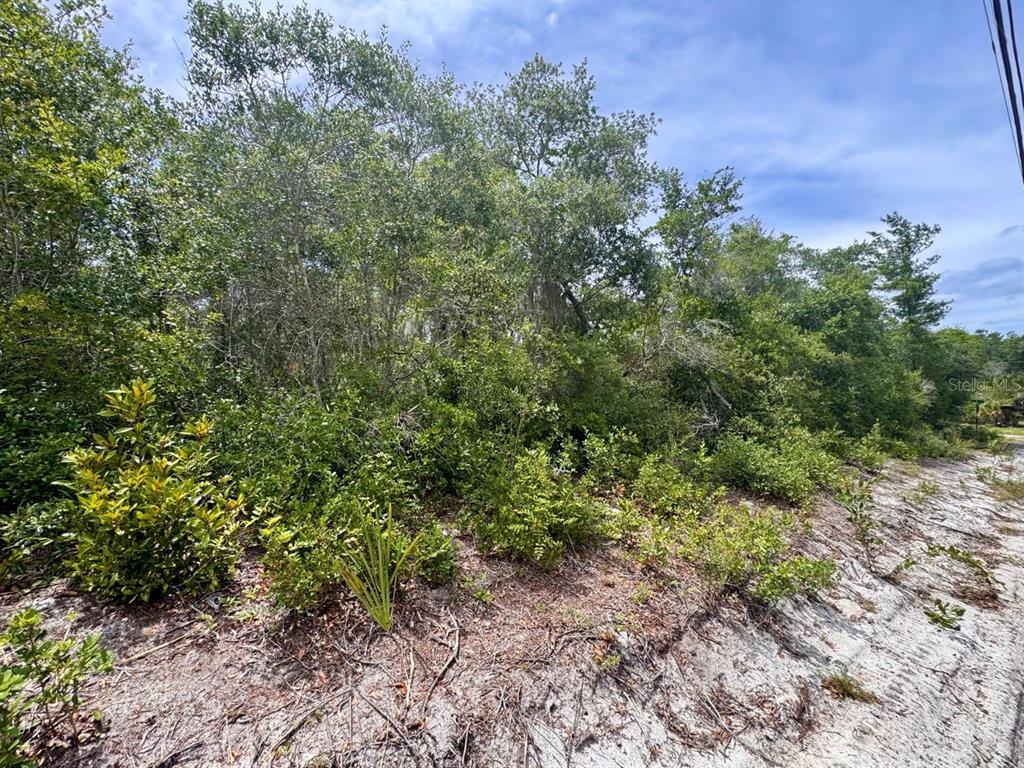 Property for sale at NE 306TH TERRACE, SALT SPRINGS, FL, 32134