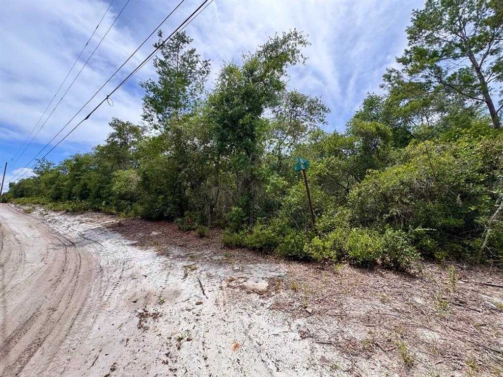Property for sale at NE 306TH TERRACE, SALT SPRINGS, FL, 32134