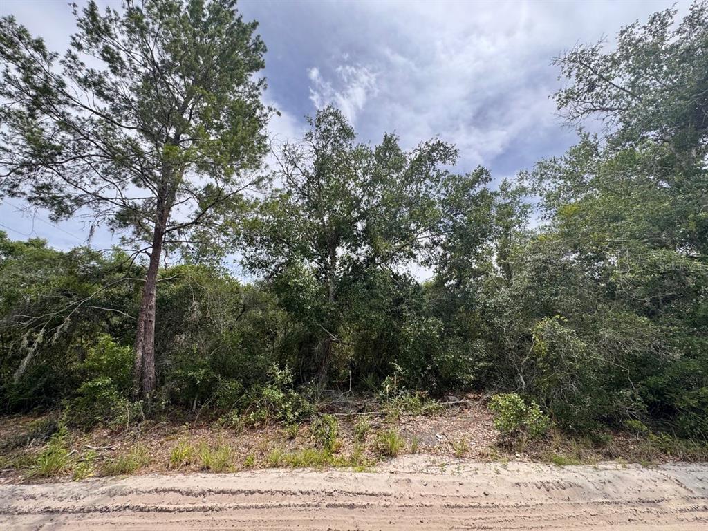 Property for sale at NE 306TH TERRACE, SALT SPRINGS, FL, 32134