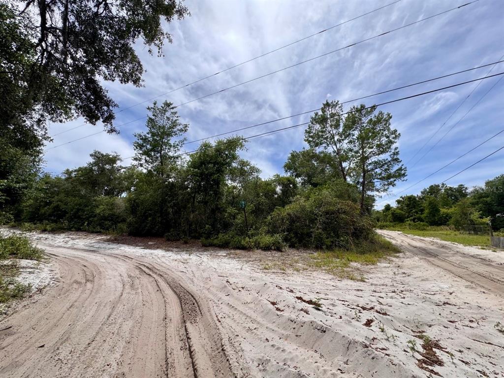 Property for sale at NE 306TH TERRACE, SALT SPRINGS, FL, 32134
