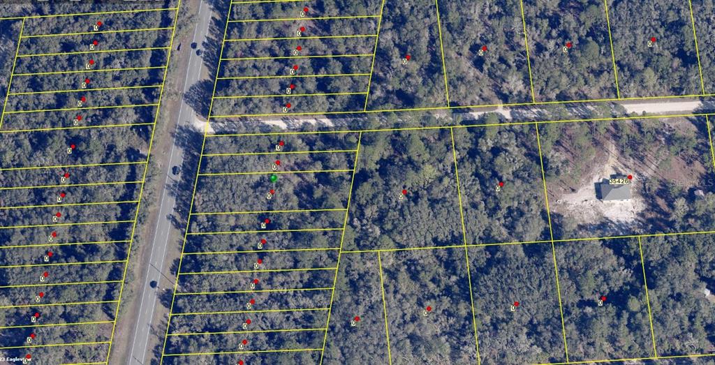 Property for sale at 8146 TREIMAN BOULEVARD, WEBSTER, FL, 33597