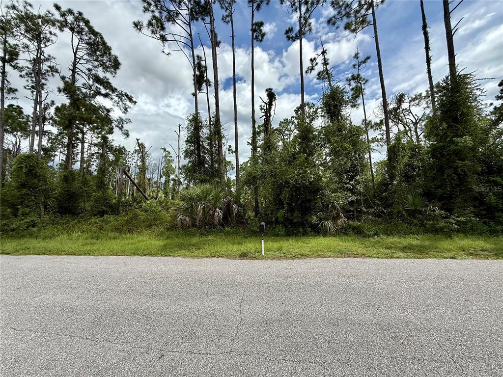 Property for sale at DRAGONFLY AVE, NORTH PORT, FL, 34288