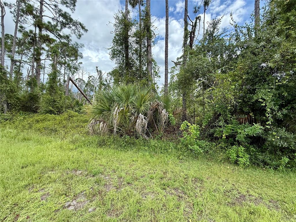Property for sale at DRAGONFLY AVE, NORTH PORT, FL, 34288