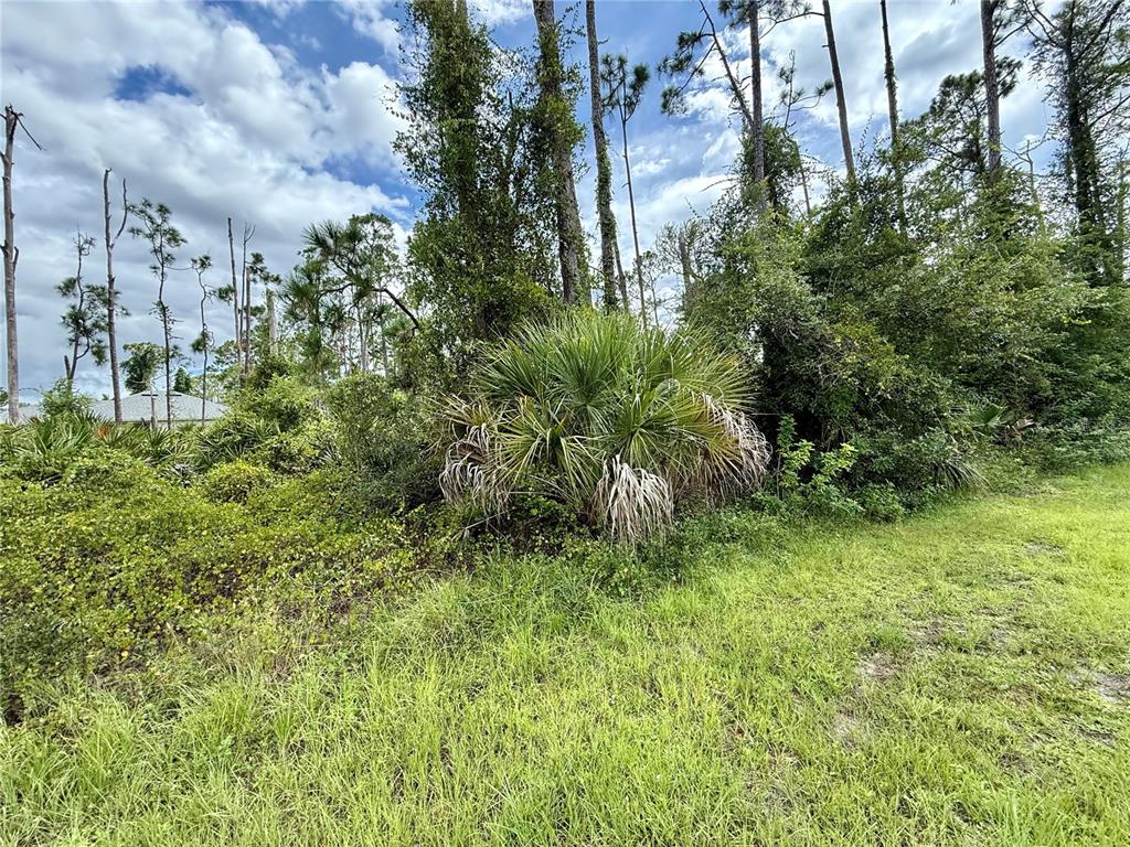 Property for sale at DRAGONFLY AVE, NORTH PORT, FL, 34288
