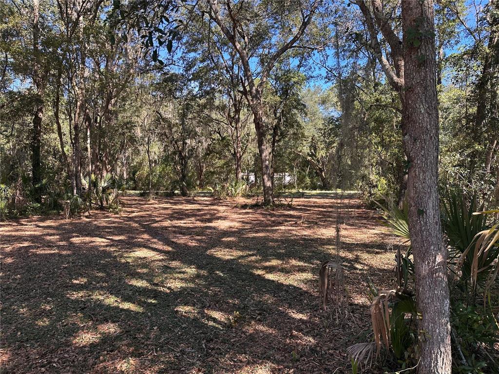 Property for sale at 11660 NE 225TH STREET, FORT MC COY, FL, 32134