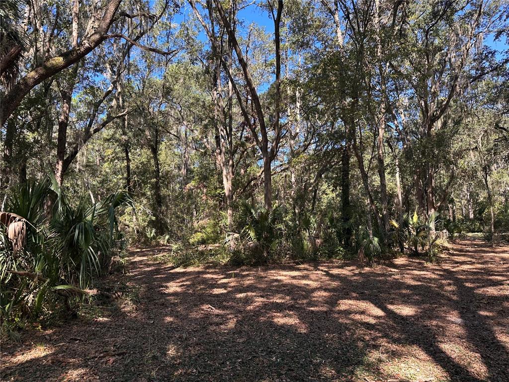 Property for sale at 11660 NE 225TH STREET, FORT MC COY, FL, 32134
