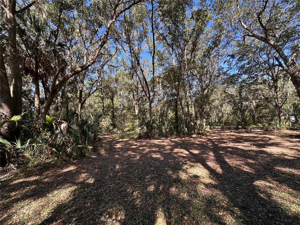 Property for sale at 11660 NE 225TH STREET, FORT MC COY, FL, 32134