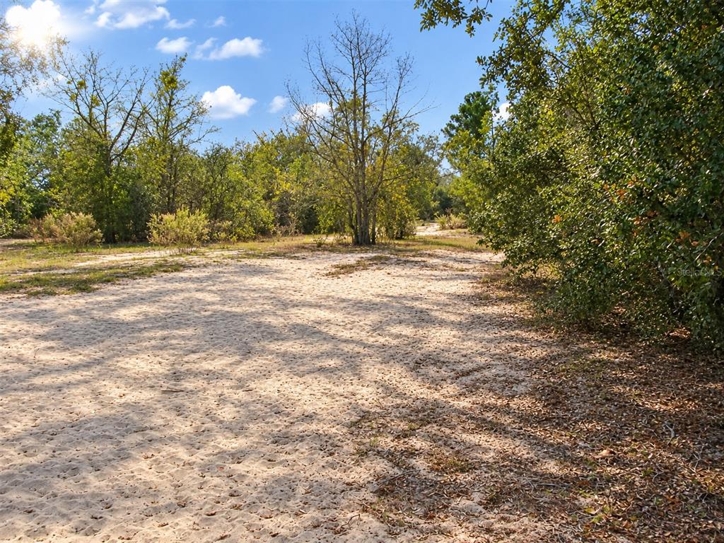 Property for sale at 11951 HOLLAND DRIVE, LEESBURG, FL, 34788