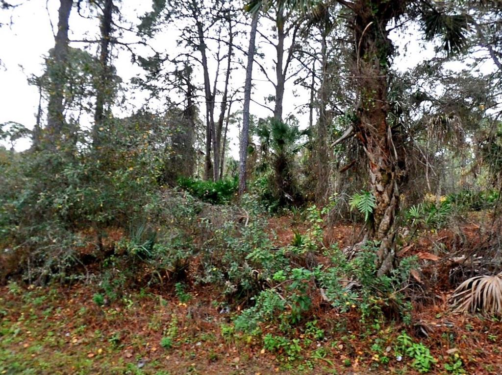 Property for sale at LADY SLIPPER AVE., NORTH PORT, FL, 34291