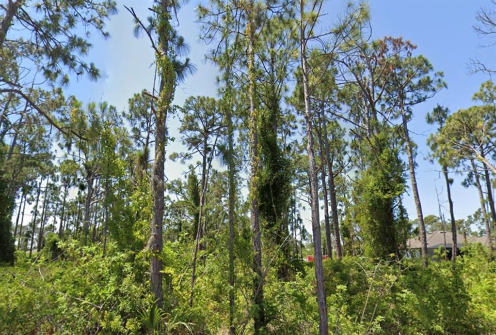 Property for sale at 14209 NAYLOR AVENUE, PORT CHARLOTTE, FL, 33981