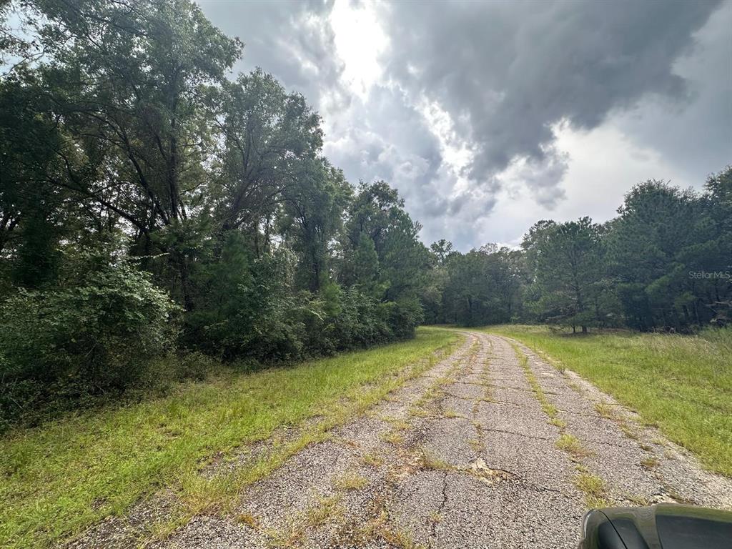 Property for sale at 1574 E IVYDALE DRIVE, CITRUS SPRINGS, FL, 34434